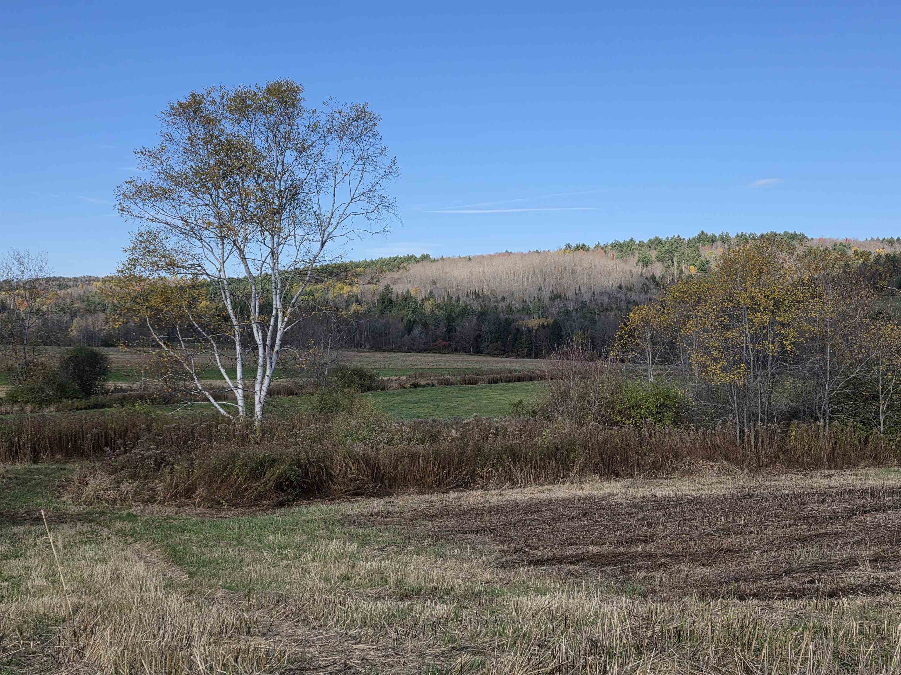 000 US Route 2 photo 29