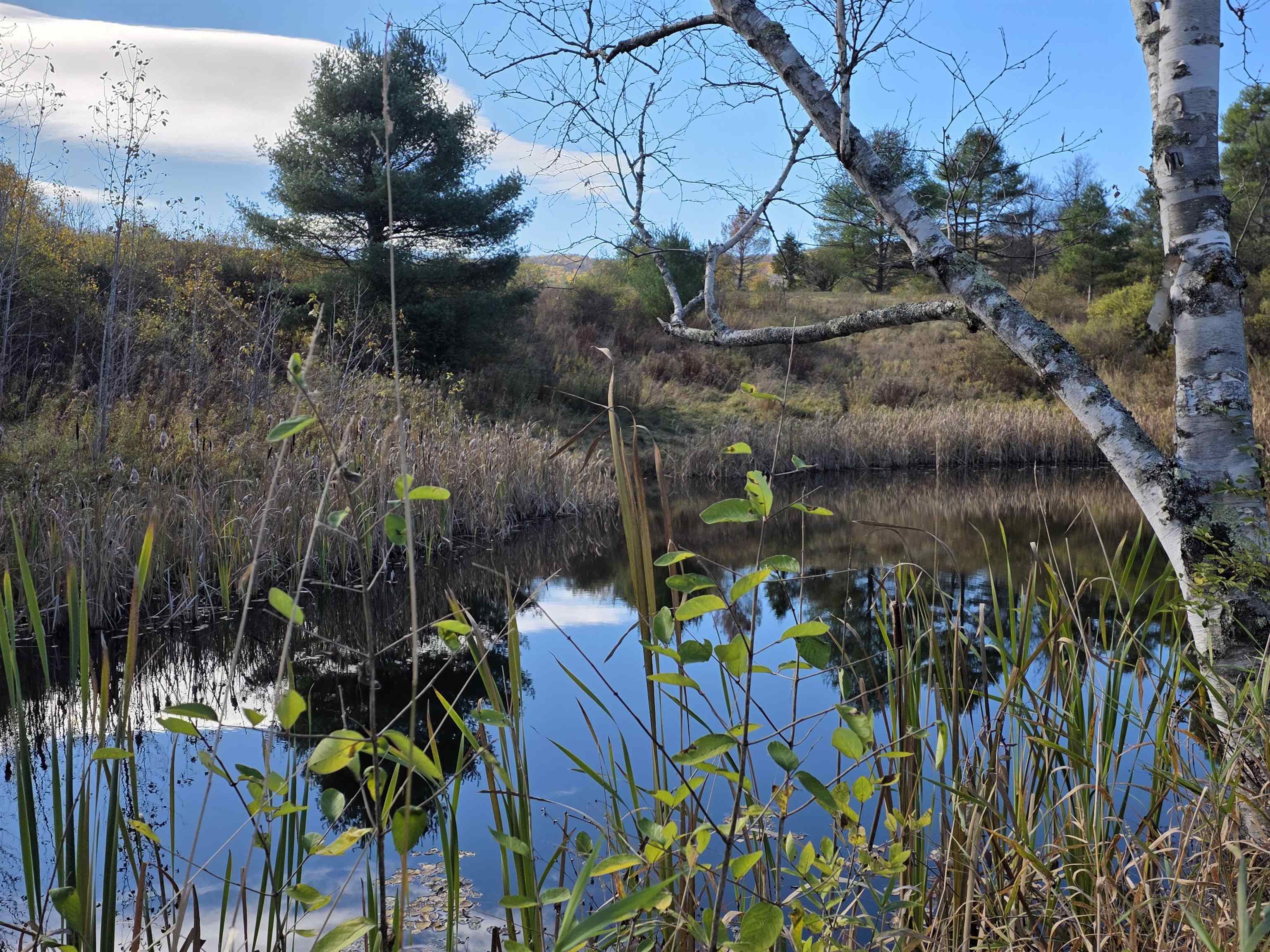 000 US Route 2 photo 31