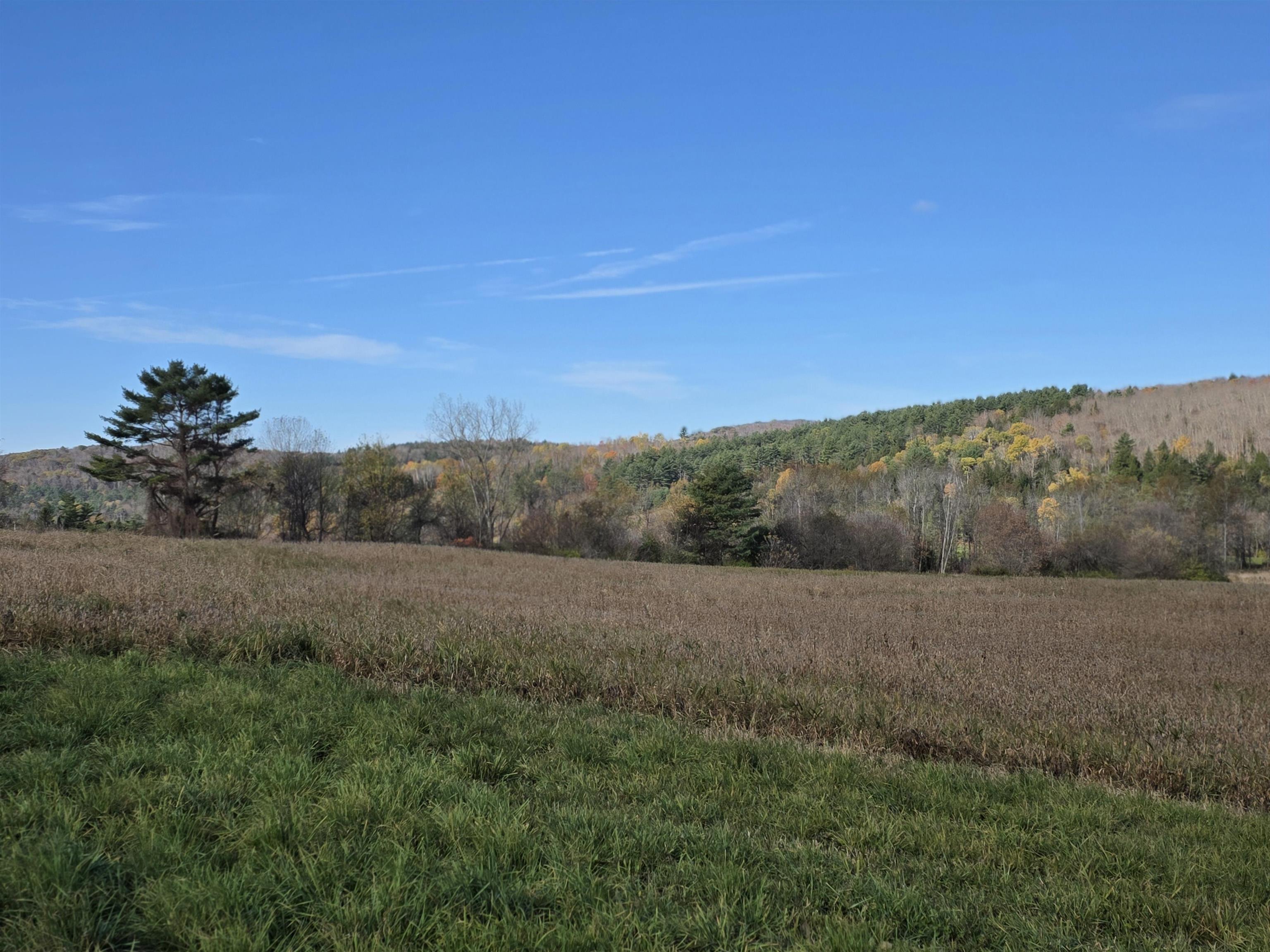 000 US Route 2 photo 37