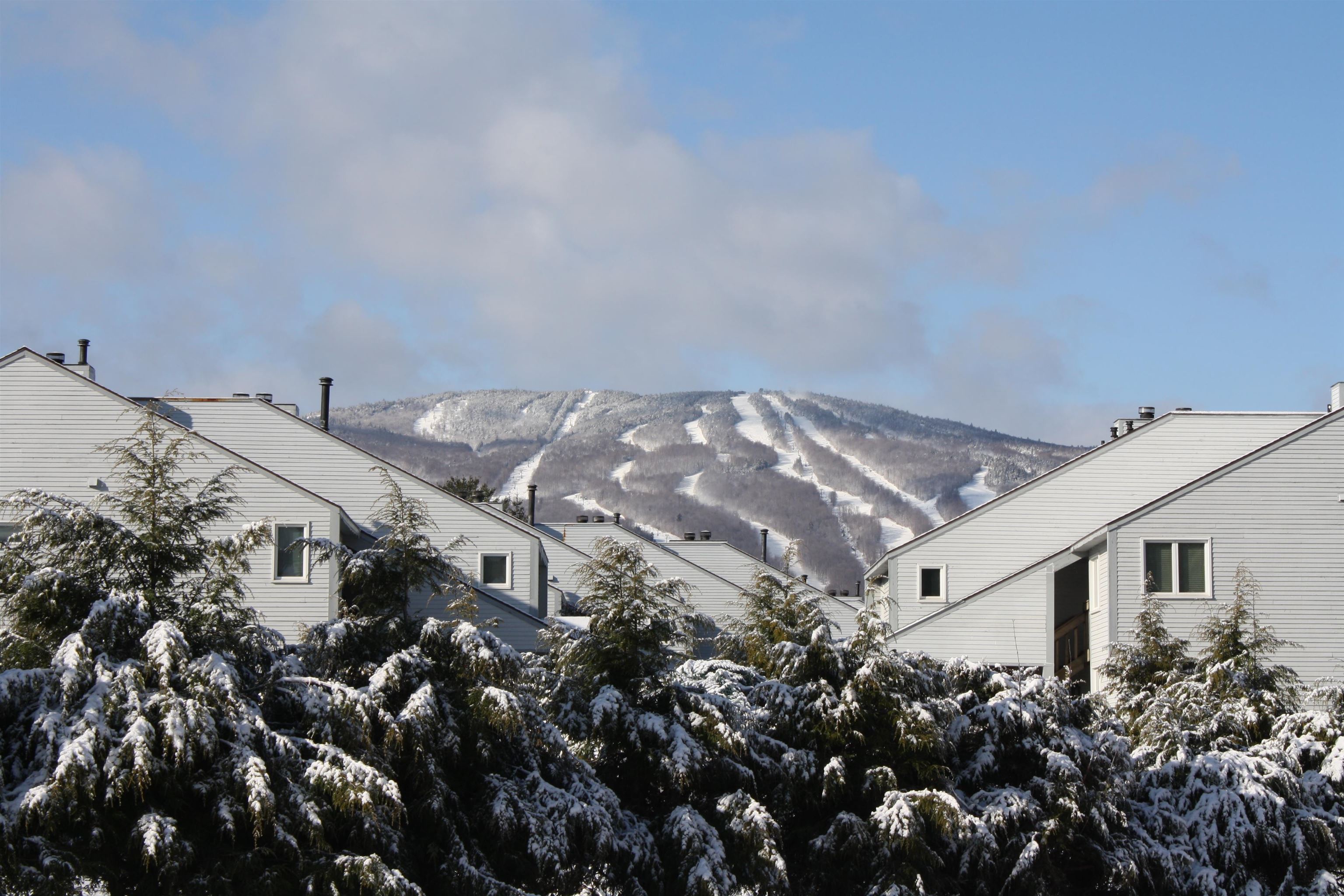 near 130 Pleasant Street Cavendish, VT 05142 Property 3