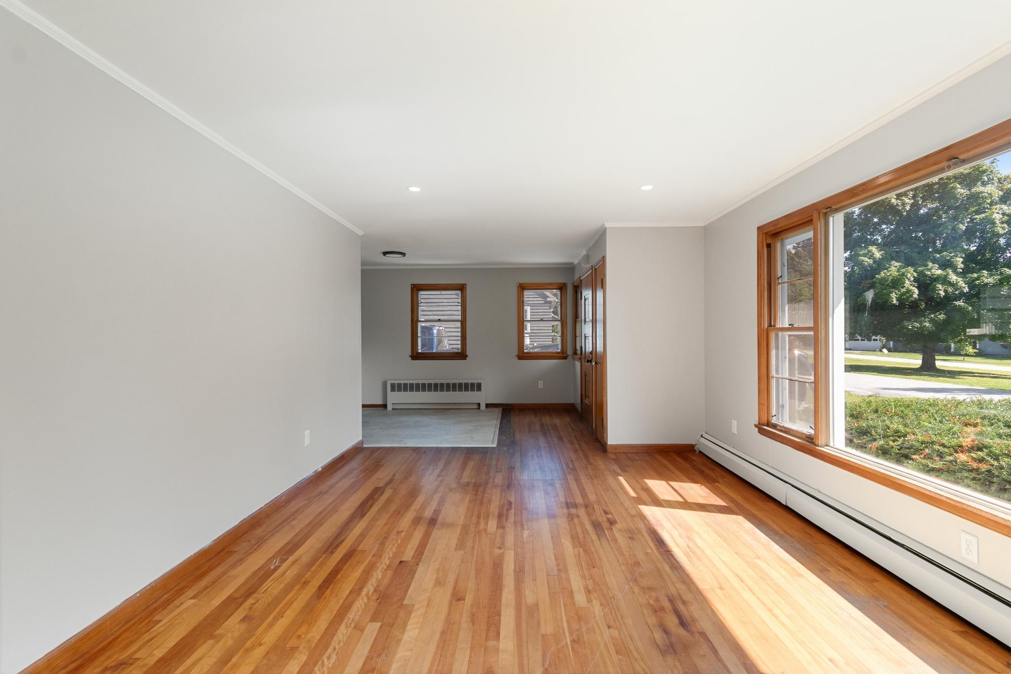 13 Driscoll Drive photo 9