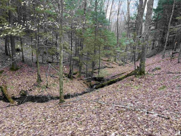 Lot 4 Haley Drive