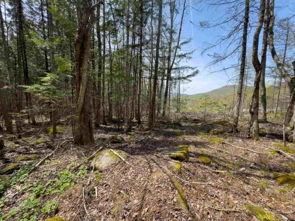 Lot 4 Oregon Road