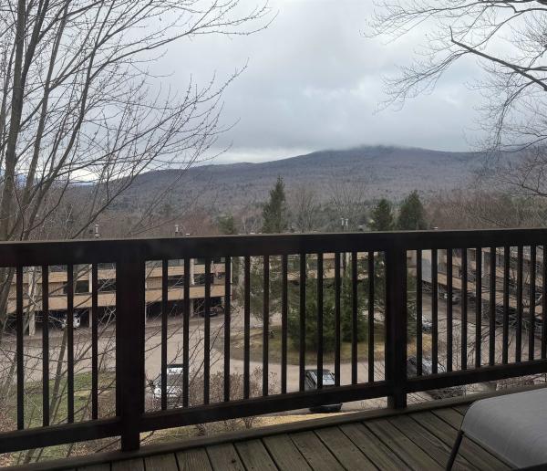 Condo in Stowe VT