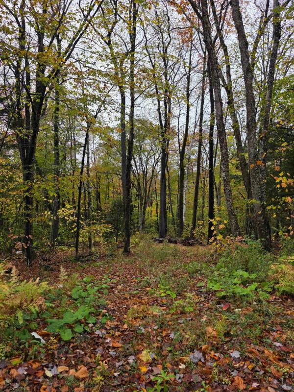 00 Heartwellville View Road