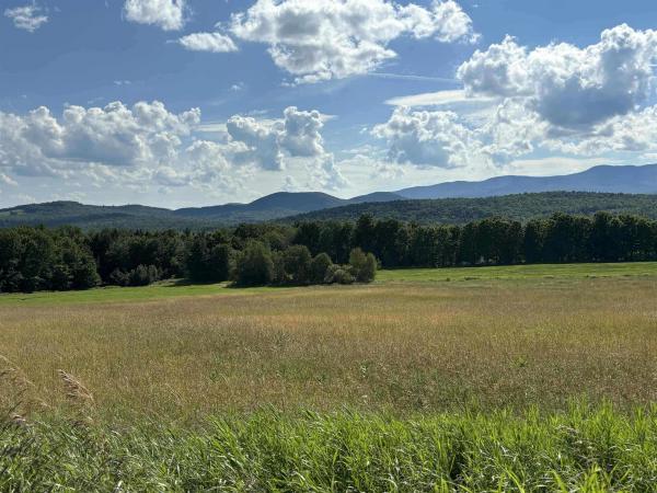  in Morristown VT
