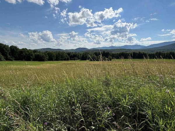  in Morristown VT