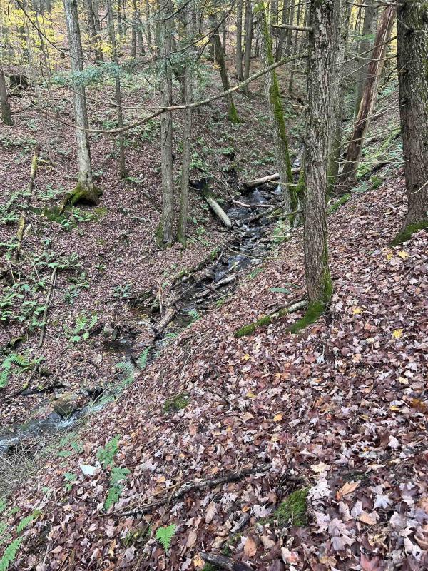 1901 Royalton Hill Road