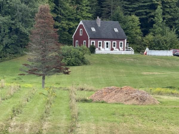 397 Pony Farm Road