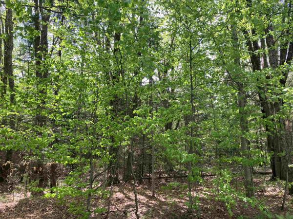 Lot 118 High Top Road