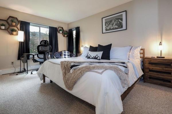 11 E Mountain Village