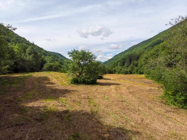 Lot 5 Mission Farm Road