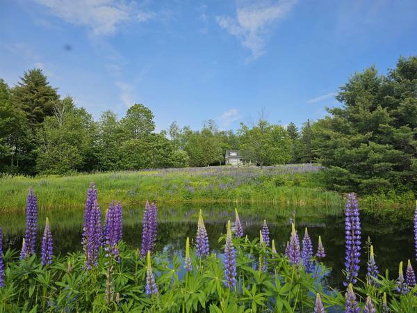 171 Pollard Road