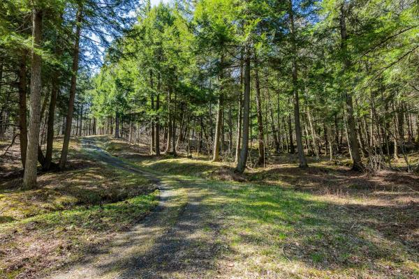 334 Log Cabin Drive