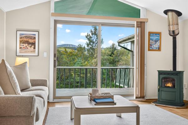 19 Winhall Condo Road