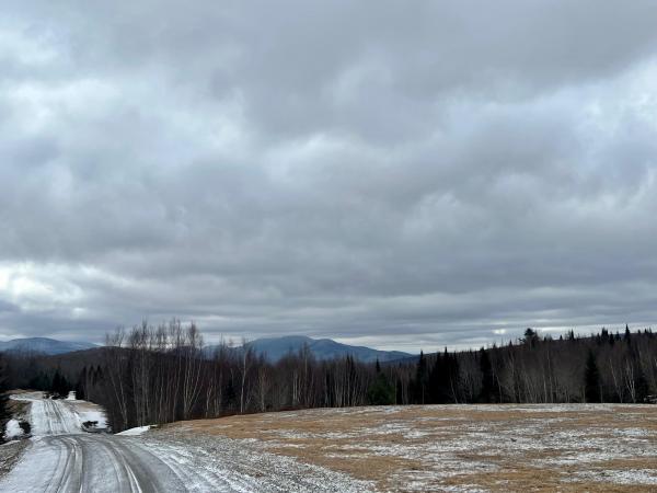 - Frizzell Road