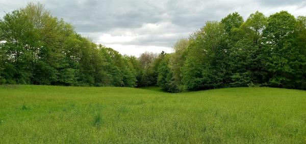 656 Lower Elmore Mt. Road