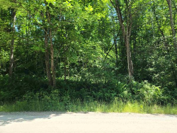 868 Maple Hill