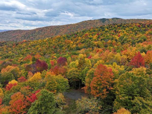 TBD Warren Mountain Road