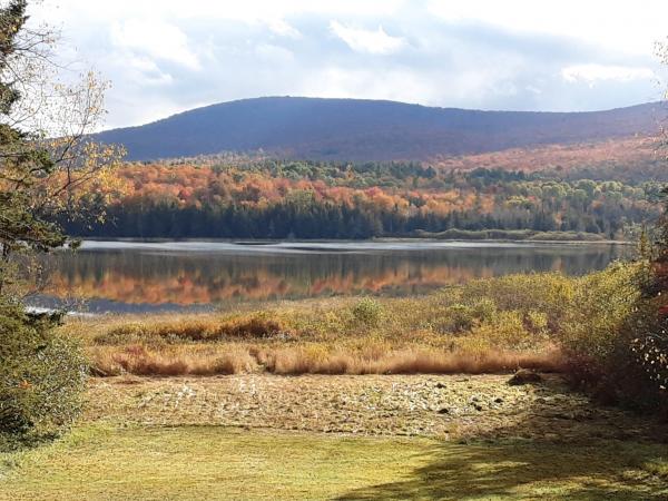 Single Family in Wheelock VT