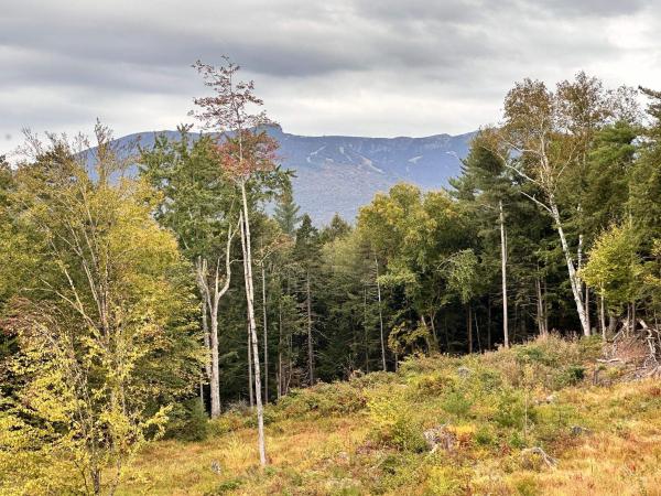 Stowe, VT
