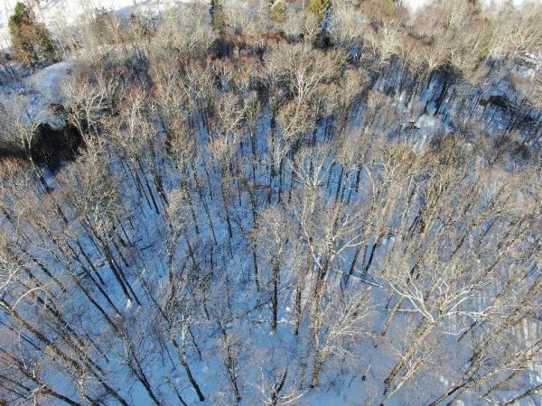 LOT 12 Barrows Towne Road
