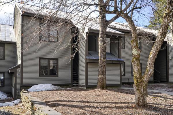 31 Christmas Tree Road