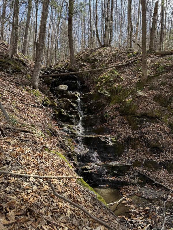 0000 Burke Hollow Road