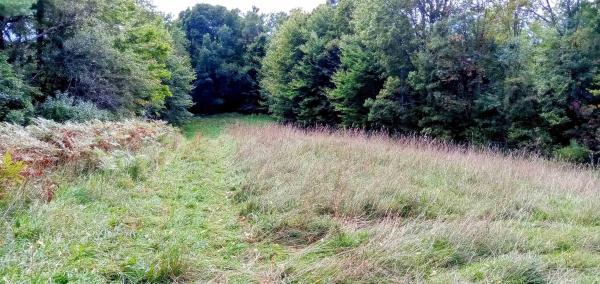658 Lower Elmore Mt. Road