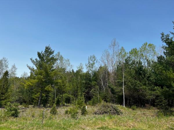 00 Spring Creek Road
