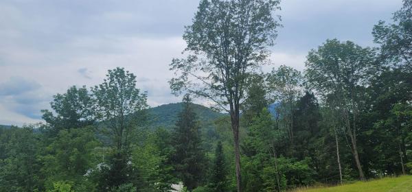 Single Family in Johnson VT