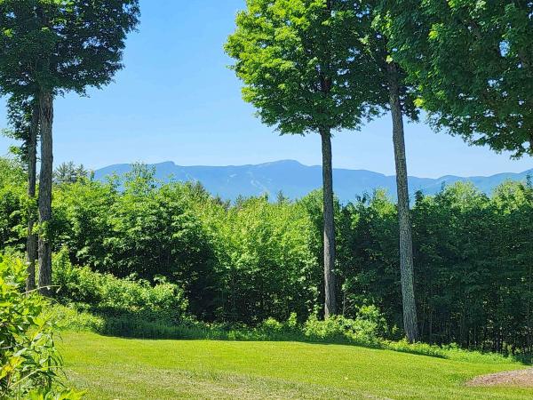 Single Family in Stowe VT