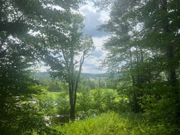 Black River Road Black River Road