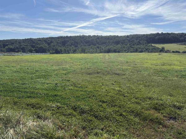 Lot 2 South Road