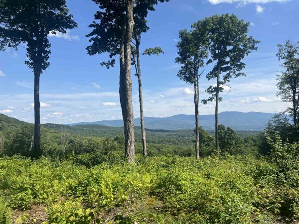  in Stowe VT