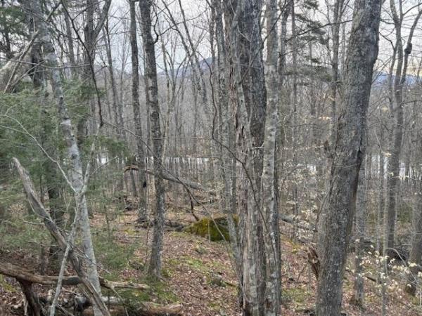 Lot 8 Barrows Towne Road