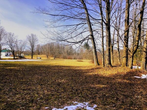 Lot #3 Shackett Road