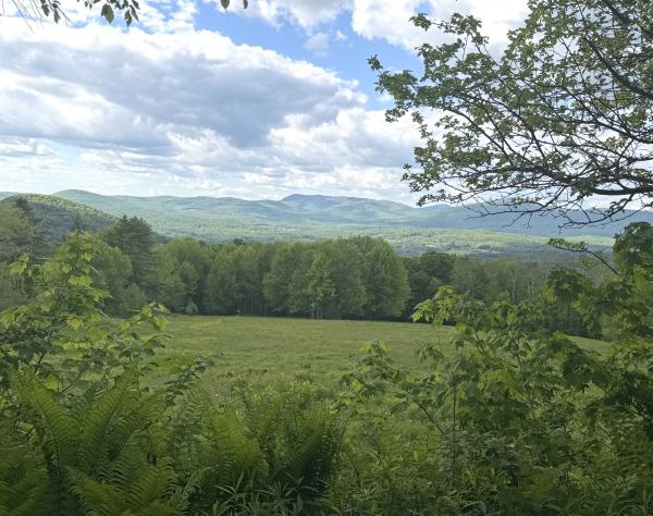  in Johnson VT