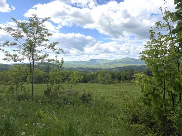  in Johnson VT