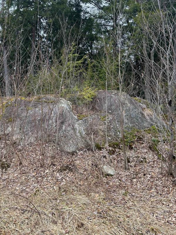  in Hyde Park VT