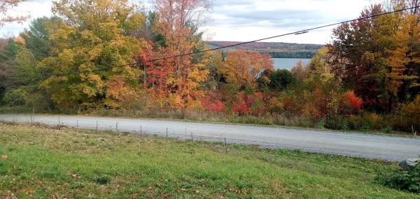 Lot 61 Sandy Bay Road