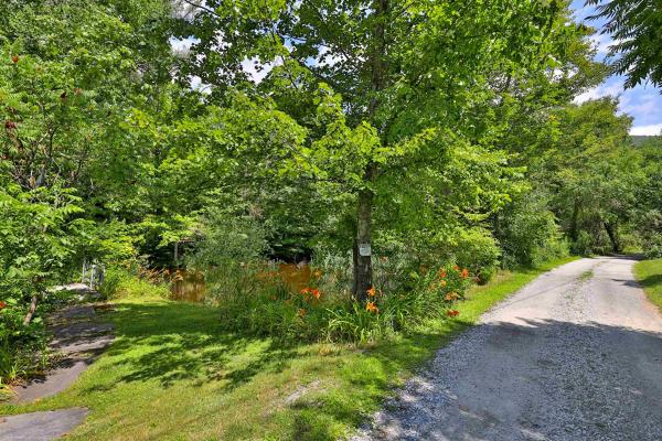 00 White Pine Hill