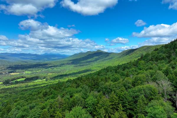 1498 North Hollow Road