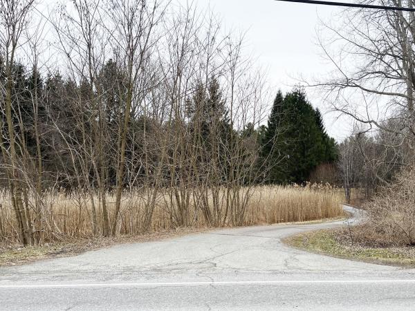 376 Mountain View Road