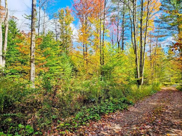 0 Oberland Valley Road