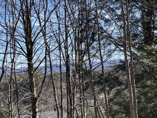 Lot 5 Haley Drive