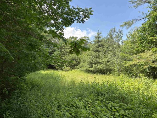 00 Simonsville Road