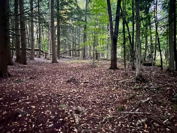 TBD Pumpkin Village Road