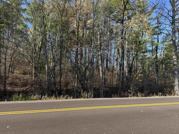 TBD Middle Road North