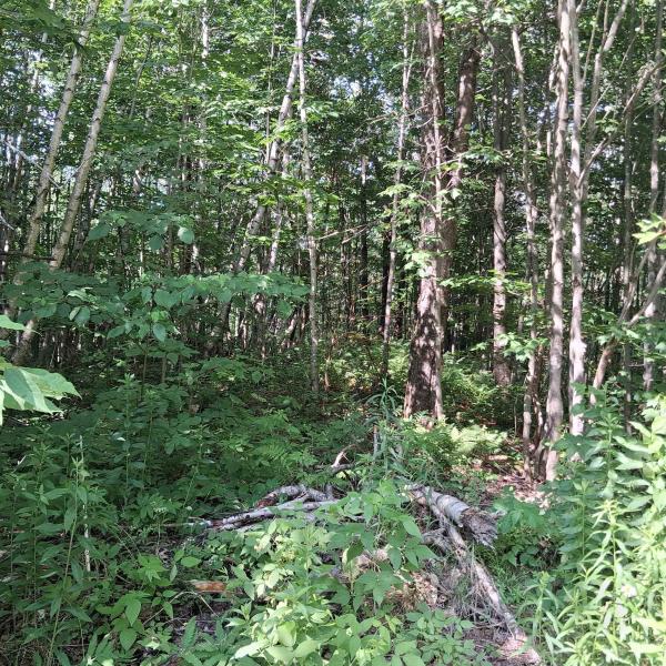 Lot 2 Ballground Road